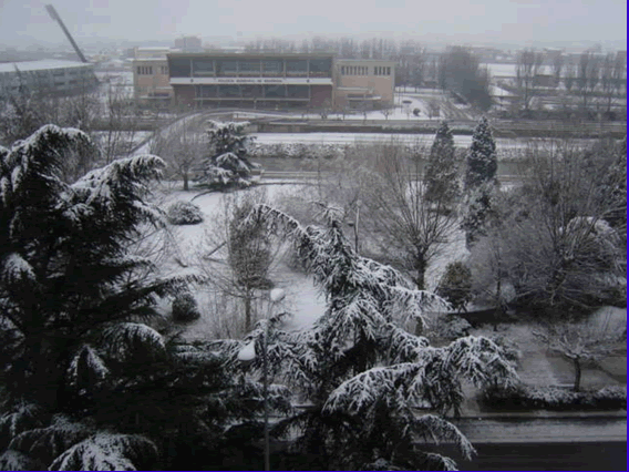 Fotos de las nevadas asociadas a la ola de frío del 7-13 de Enero del 2003