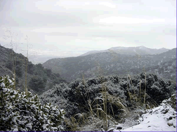 Fotos De Las Nevadas Asociadas A La Ola De Frío Del 7-13 De Enero Del 2003