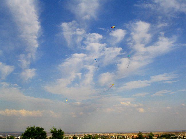 Fotos Enviadas Al Ii Concurso Fotográfico Del Foro De Meteocollbató, Verano Del 2003