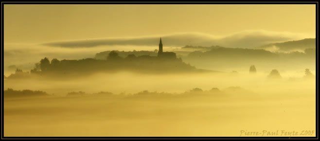 Fotos ganadoras de los concursos internacional y nacional de noviembre