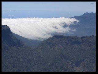 Fotos ganadoras del concurso
