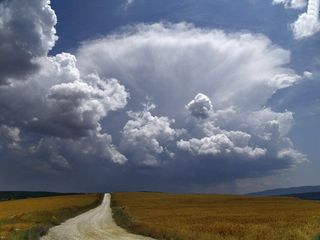 Fotos ganadoras del concurso fotográfico VII ENAM - Collbató 2006