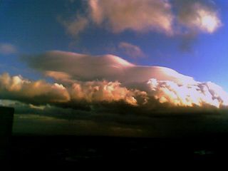 Fotos ganadoras del concurso Meteoprimavera’06 