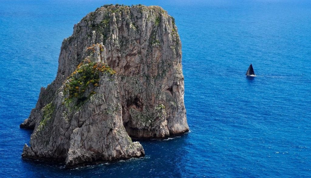 I faraglioni di Capri, dove vive questa sottospecie di lucertola.