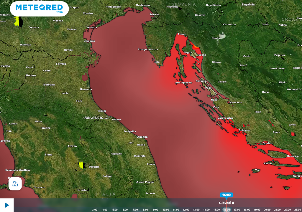 Les températures actuelles de la surface de l'Adriatique septentrionale, où l'on enregistre depuis des semaines des valeurs dépassant les +30°C. Source : le modèle de référence de Meteored.