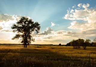 Fraca frente fria no Sul e tempo seco e quente em boa parte do Brasil