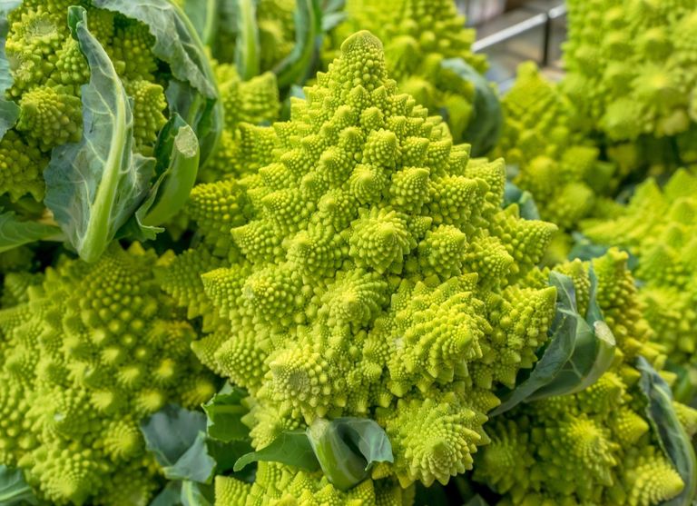 Brócoli Romanescu Brócoli Romanescu