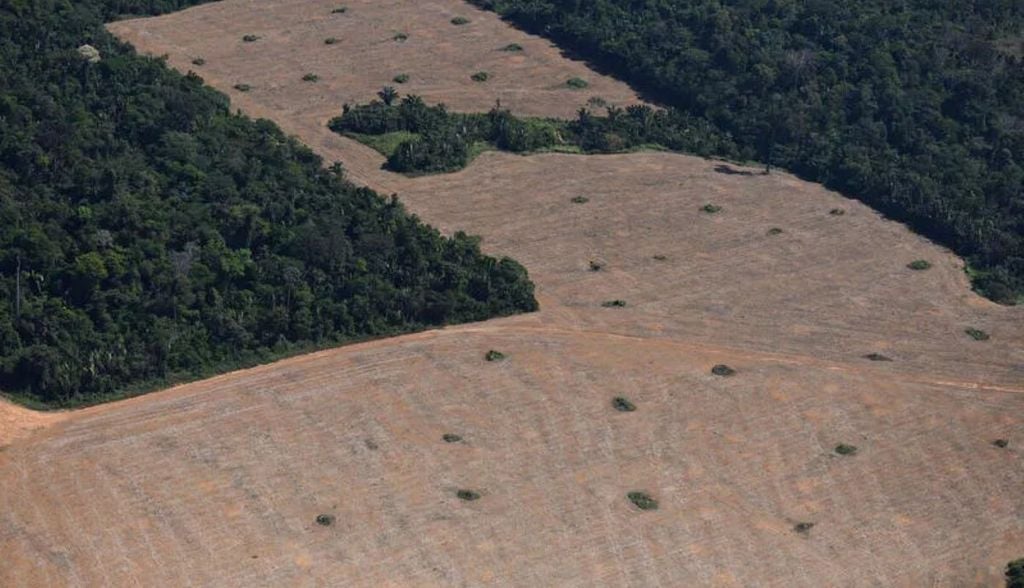 Amazônia destaca-se pela redução no tamanho médio dos fragmentos de vegetação nativa. Crédito: Imazon