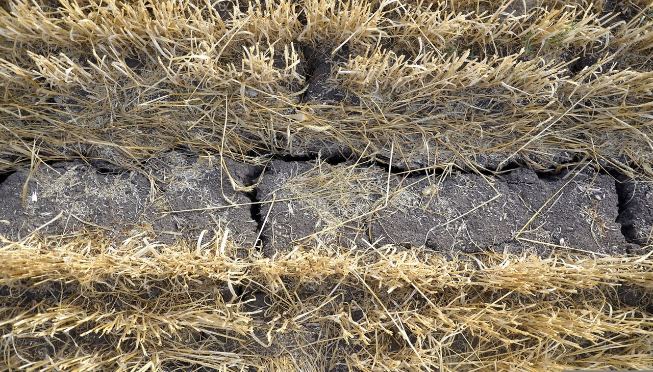 Les sols sont abîmés après les épisodes de canicule