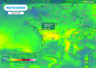 France : de nouveaux départements placés en vigilance orange pour risque de feux de forêt. Voici les régions concernées