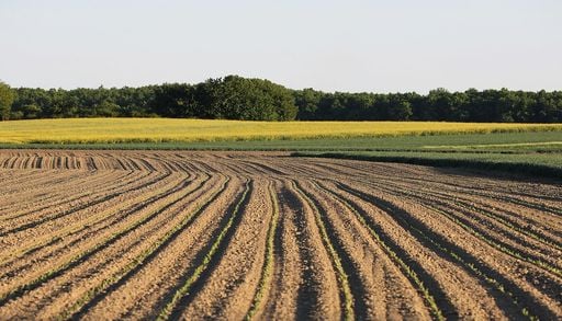 En France, les sols sont pollu&eacute;s&hellip; Mais &agrave; quel point ?