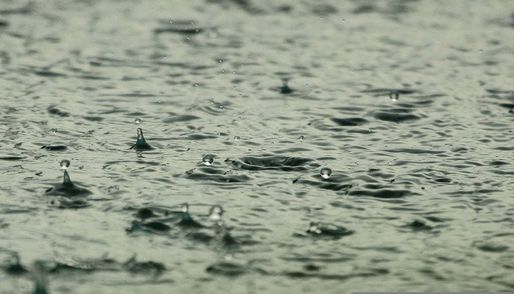 La pluie doit être régulière et pas trop intense