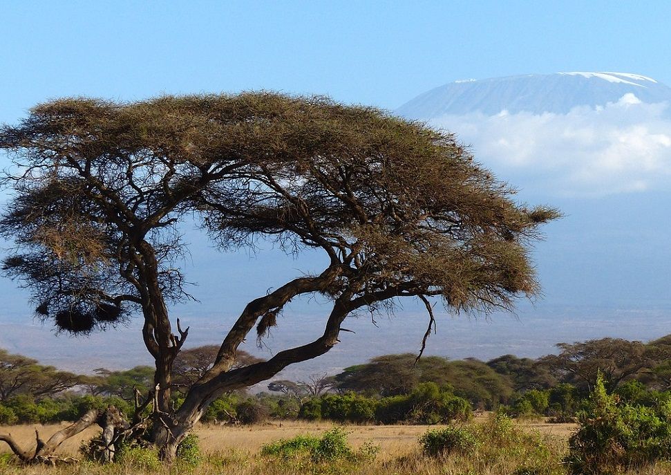 vulcano-rift-africa