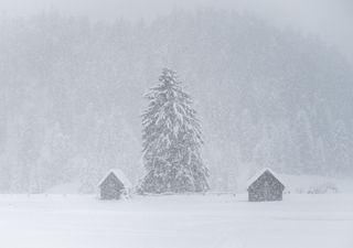 Freddo artico in arrivo: ecco perché gli italiani dovrebbero controllare le gomme e preparare il riscaldamento
