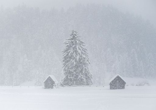 Freddo artico in arrivo: ecco perché gli italiani dovrebbero controllare le gomme e preparare il riscaldamento