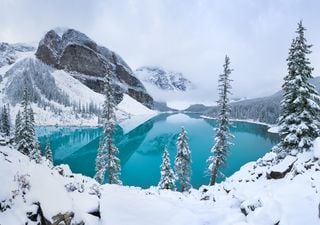 Freddo e neve in arrivo negli Usa, colpa di un tifone nel Pacifico