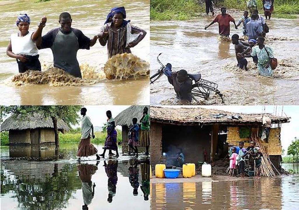Malawi, Africa, Freddy Malawi, Africa, Freddy