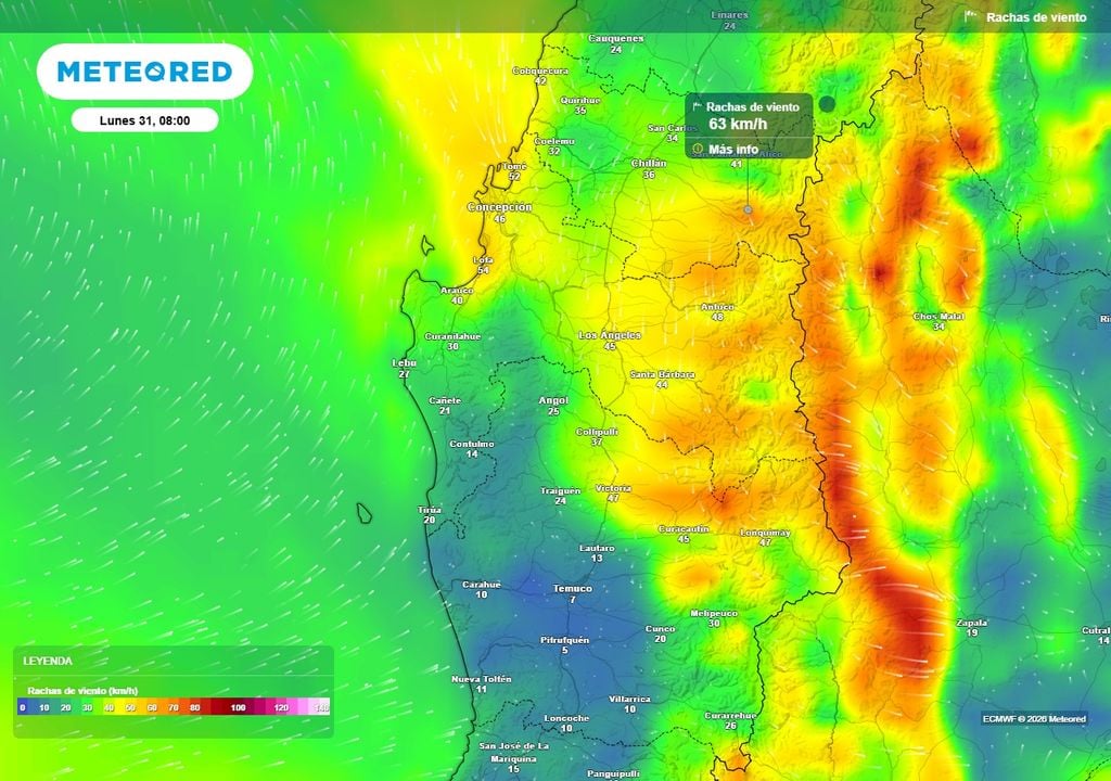 Frente cálido dejará rachas de viento de 60 km/h en Chile centro-sur Rachas de viento (km/h) para la mañana del lunes (31) en las regiones de Ñuble, Biobío y La Araucanía.