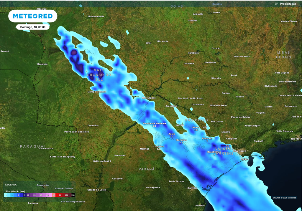 Previsão de chuva para domingo (10), segundo o ECMWF.