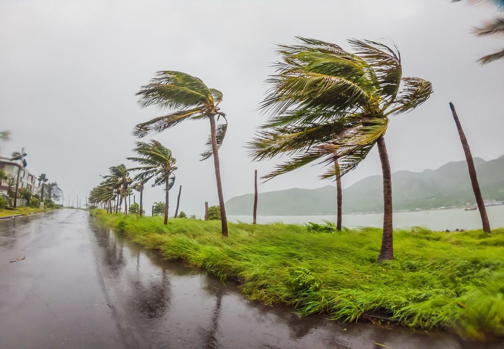 Rajadas de vento acima de 100 km/h deixam estados em alerta para transtornos. Foto: Adobe Stock. Rajadas de vento acima de 100 km/h deixam estados em alerta para transtornos. Foto: Adobe Stock.