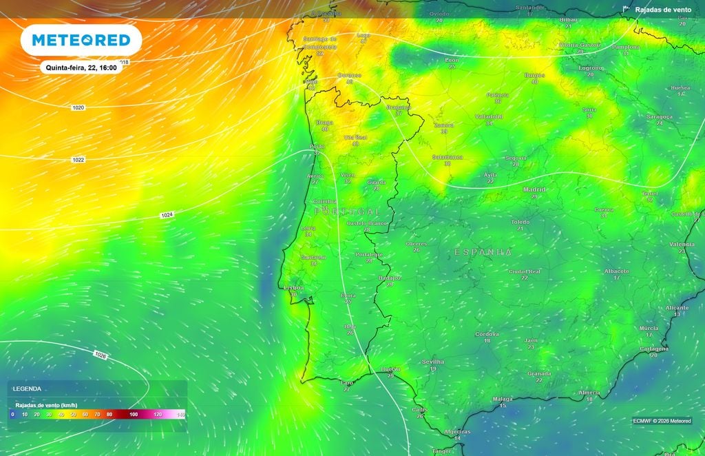 Vento intensifica-se antes da chegada da frente fria O ECMWF prevê um reforço das rajadas durante a tarde de quinta-feira, com valores próximos dos 40 km/h em Braga.