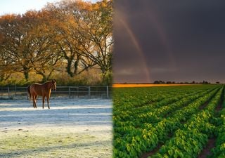 Frente fria e grande massa de ar frio definem o tempo no Brasil; saiba onde chove e faz sol na semana