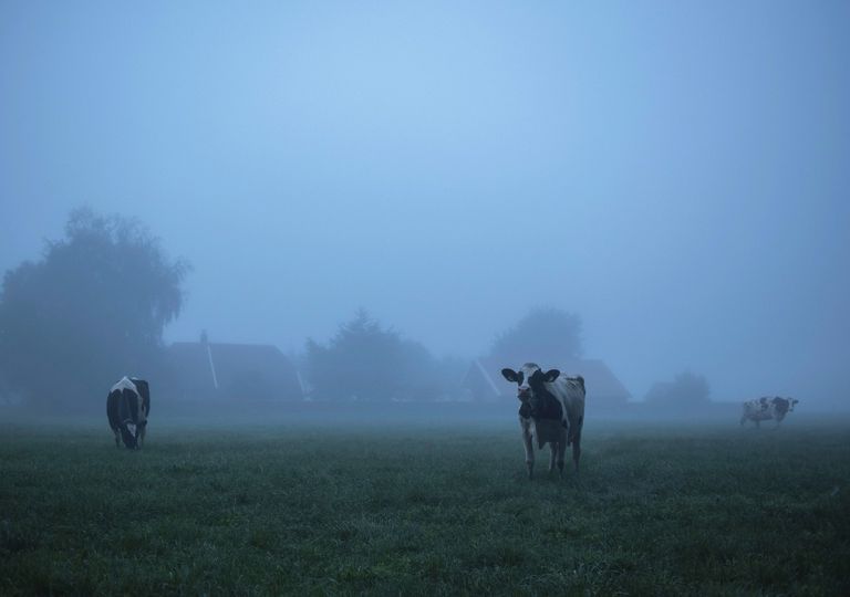 Chuva e frio no Sul Chuva e frio no Sul