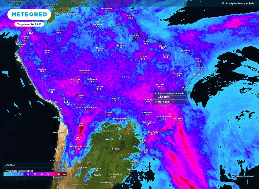 Precipitação acumulada até esta terça (20).