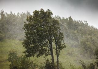 Frente fria traz risco de rajadas de quase 100 km/h, tempestades e granizo para 9 estados no sábado, 18; confira