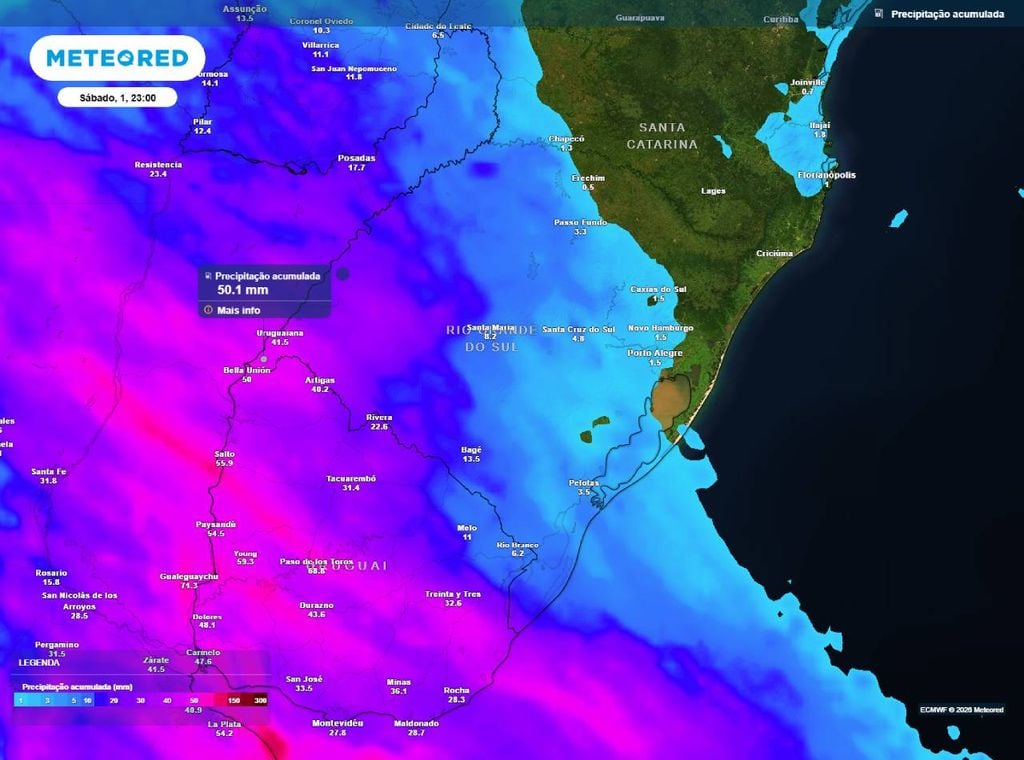 Previsão da precipitação acumulada (em mm) entre hoje (31) e a noite (23h) de sábado (1º de agosto), segundo o modelo europeu ECMWF.