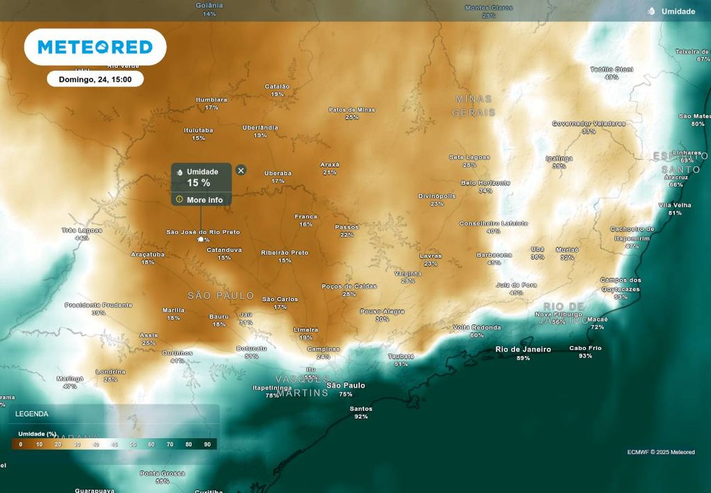 Previsão de umidade relativa neste domingo (24), de acordo com o ECMWF.