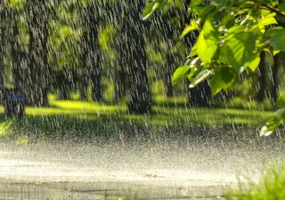 Frente fria volta a provocar chuvas em parte da Região Sul