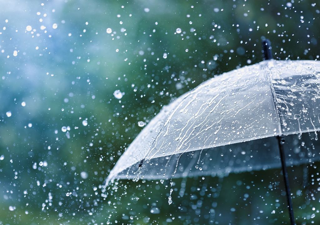 Lluvia sobre paragua transparente Lluvia sobre paragua transparente