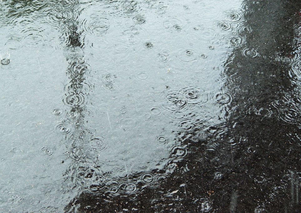 Lluvia Lluvia