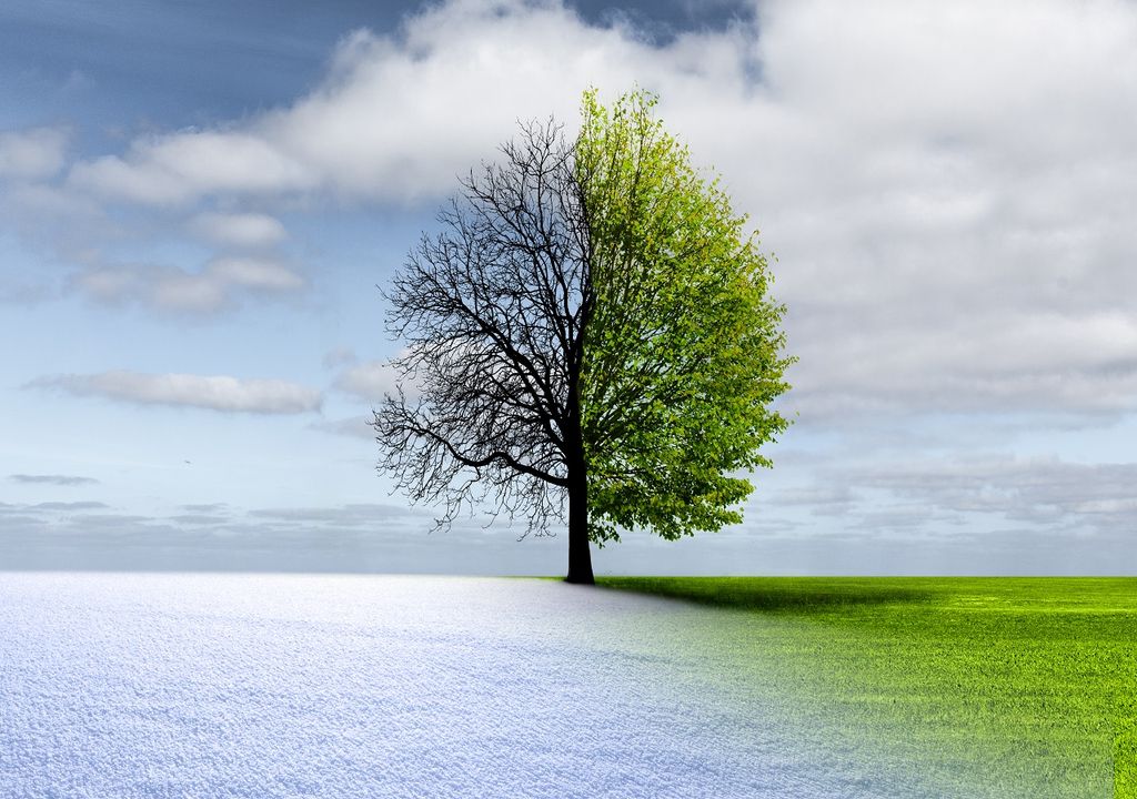 Se aproxima frente frío 67 a México