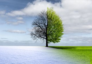 Frente frío en verano sobre México