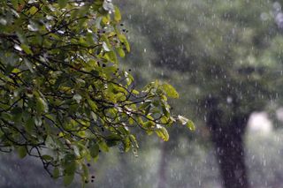 Disminución De Las Lluvias Por Circulación Anticiclónica