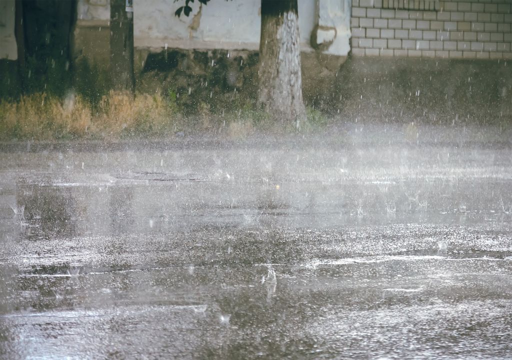 Lluvias Lluvias