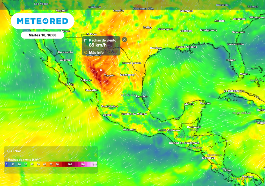 Rachas de 60 a 80 km/h podrían provocar caída de flores en frutales, deshidratación del suelo y daños en infraestructura.