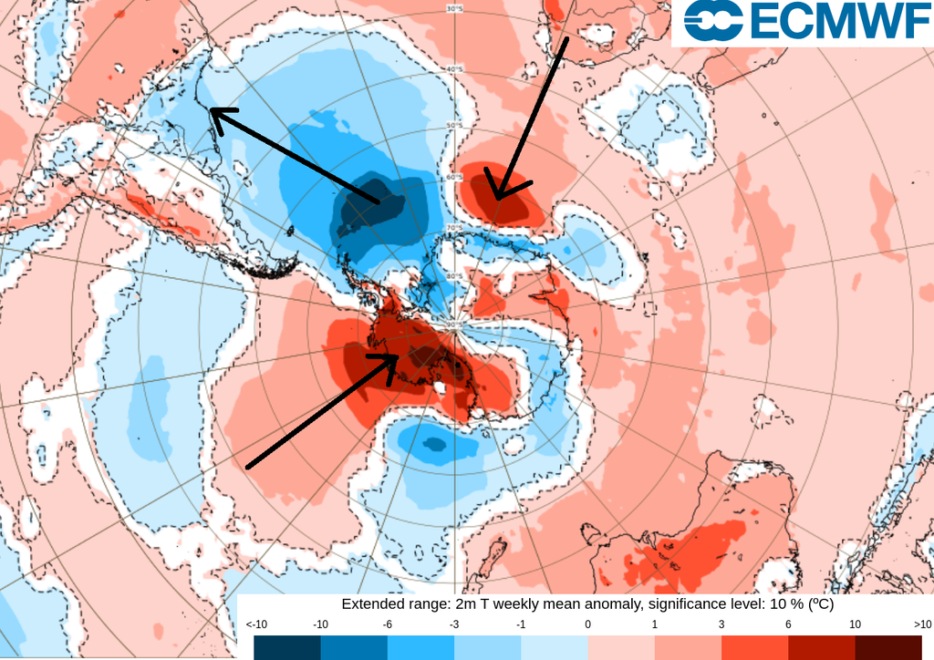 previsão, anomalia de temperatura, polo sul