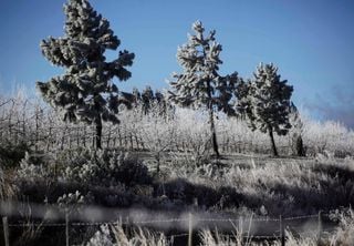Frio congelante avan&ccedil;a pelo Sul e Sudeste; veja at&eacute; quando as temperaturas continuam caindo