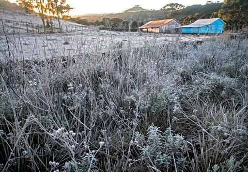 Frio congelante continua e INMET coloca quase 900 munic&iacute;pios em alerta para geadas