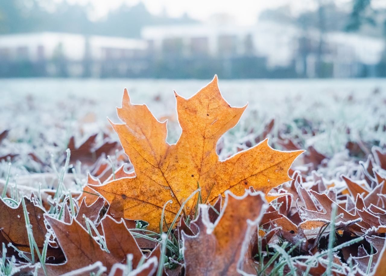 Frio do outono chegou para ficar? Nova e intensa massa de ar frio pode ...