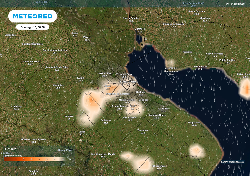 Visibilidad según el modelo ECMWF el domingo 10 de Agosto a las 6 h en Buenos Aires