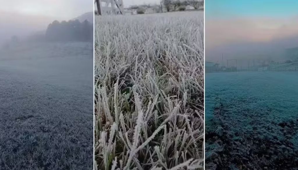 São José dos Ausentes (RS) teve geada e temperatura chegou a -1,5ºC neste domingo (23) — Foto: Tais Souza/G1 São José dos Ausentes (RS) teve geada e temperatura chegou a -1,5ºC neste domingo (23) — Foto: Tais Souza/G1
