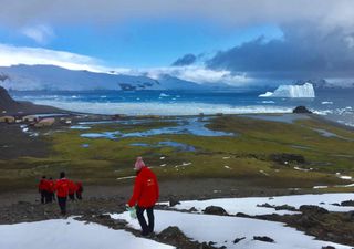 Fr&iacute;o extremo y sequ&iacute;a absoluta: los secretos de las plantas m&aacute;s resistentes de Chile para la agricultura del futuro