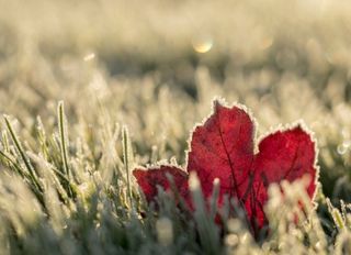 Frio intenso para a próxima semana