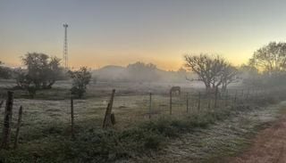 Frio intenso provoca geada e temperaturas negativas no RS e em SC; confira
