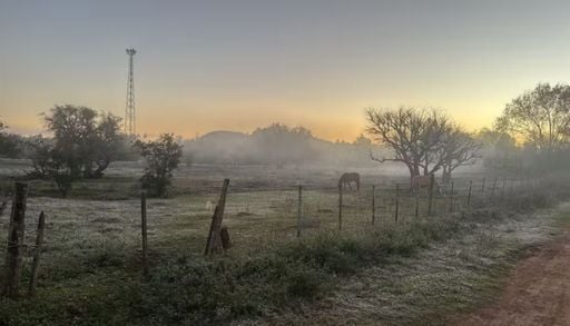Frio intenso provoca geada e temperaturas negativas no RS e em SC; confira