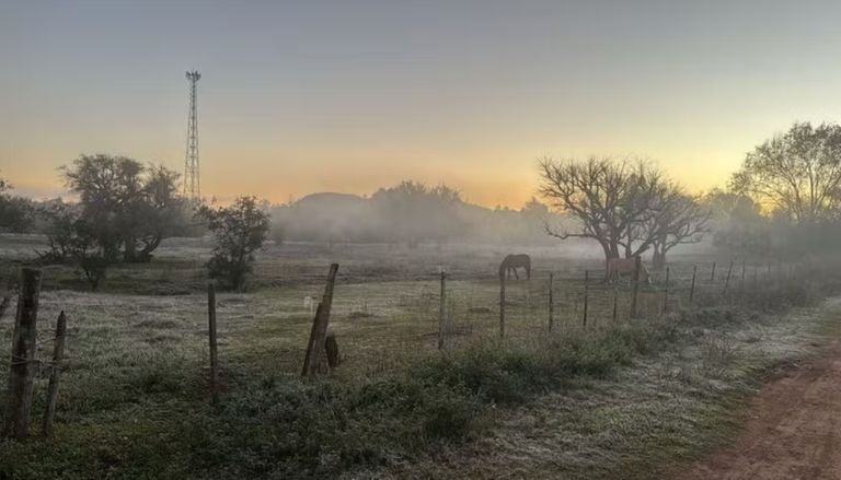 Frio intenso provoca geada e temperaturas negativas no RS e em SC; confira